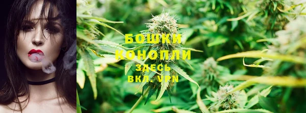 бошки Алзамай