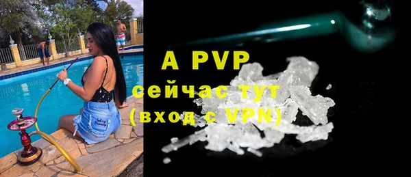 крисы Няндома